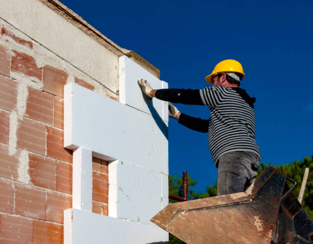 Professional Insulation Contractor in Perezville, TX