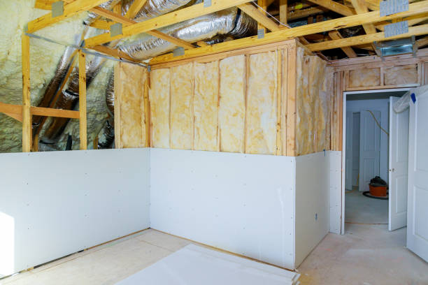 Best Specialized Insulation Services in Perezville, TX