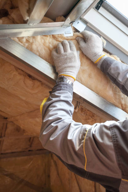 Best Spray Foam Insulation in Perezville, TX