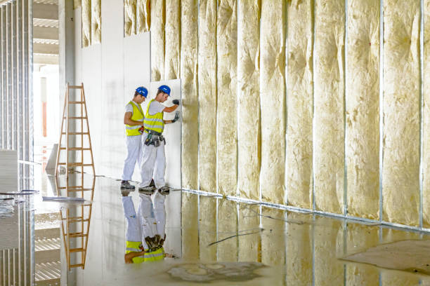 Best Blown-in Insulation in Perezville, TX